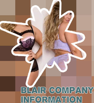 Blair womens plus size dresses